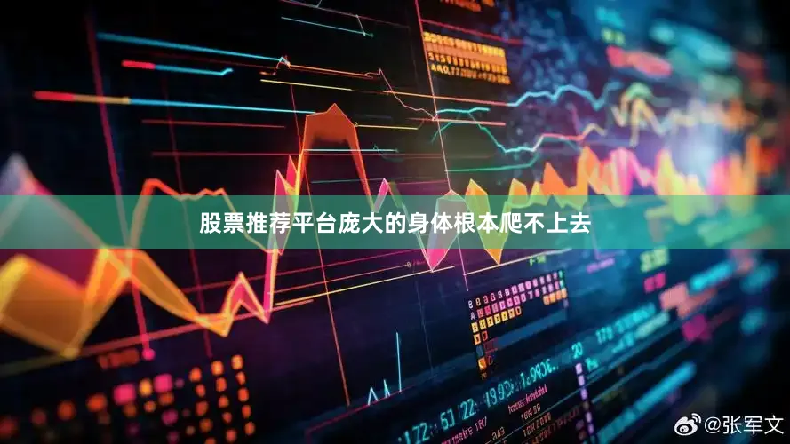 股票推荐平台庞大的身体根本爬不上去