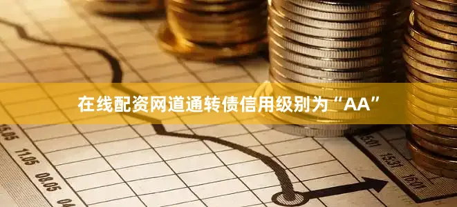 在线配资网道通转债信用级别为“AA”