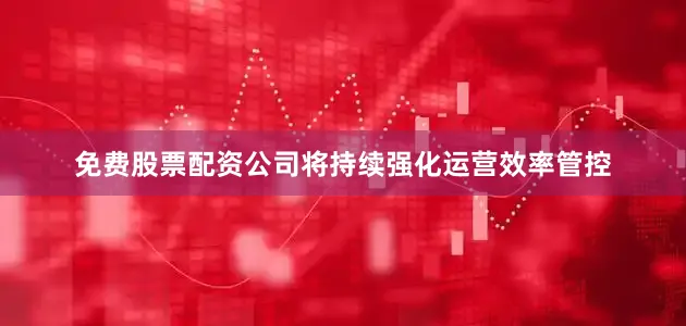 免费股票配资公司将持续强化运营效率管控