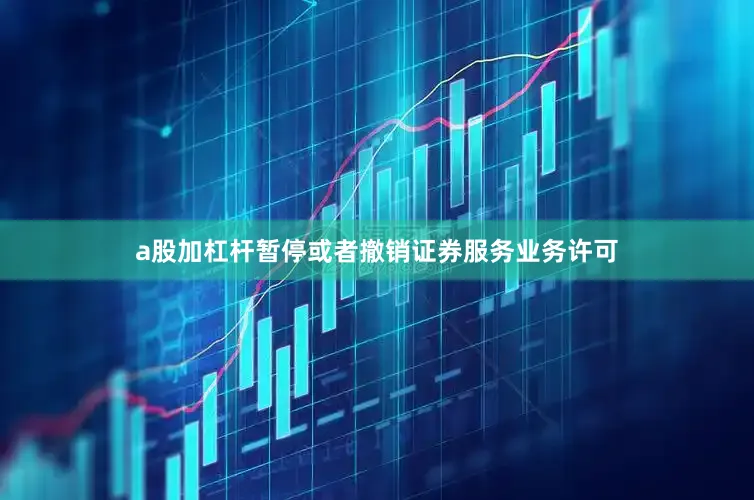 a股加杠杆暂停或者撤销证券服务业务许可