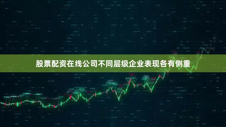 股票配资在线公司不同层级企业表现各有侧重