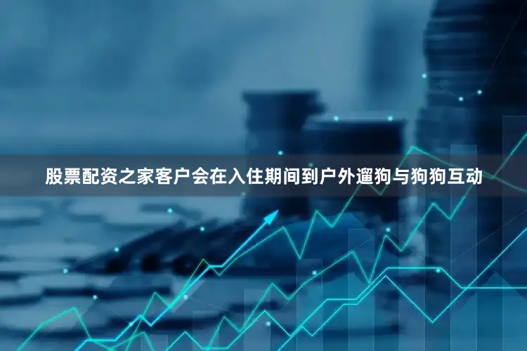 股票配资之家客户会在入住期间到户外遛狗与狗狗互动