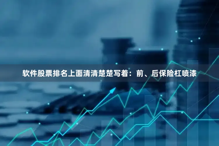 软件股票排名上面清清楚楚写着：前、后保险杠喷漆