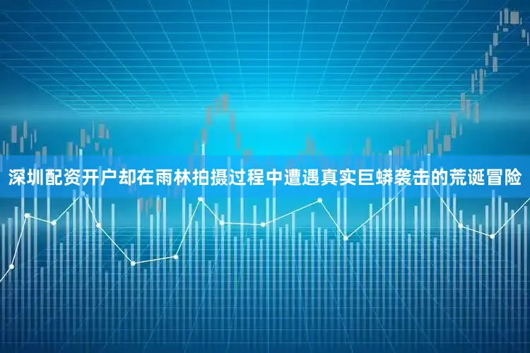 深圳配资开户却在雨林拍摄过程中遭遇真实巨蟒袭击的荒诞冒险