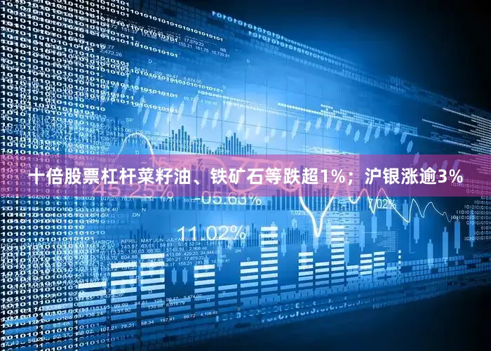 十倍股票杠杆菜籽油、铁矿石等跌超1%；沪银涨逾3%